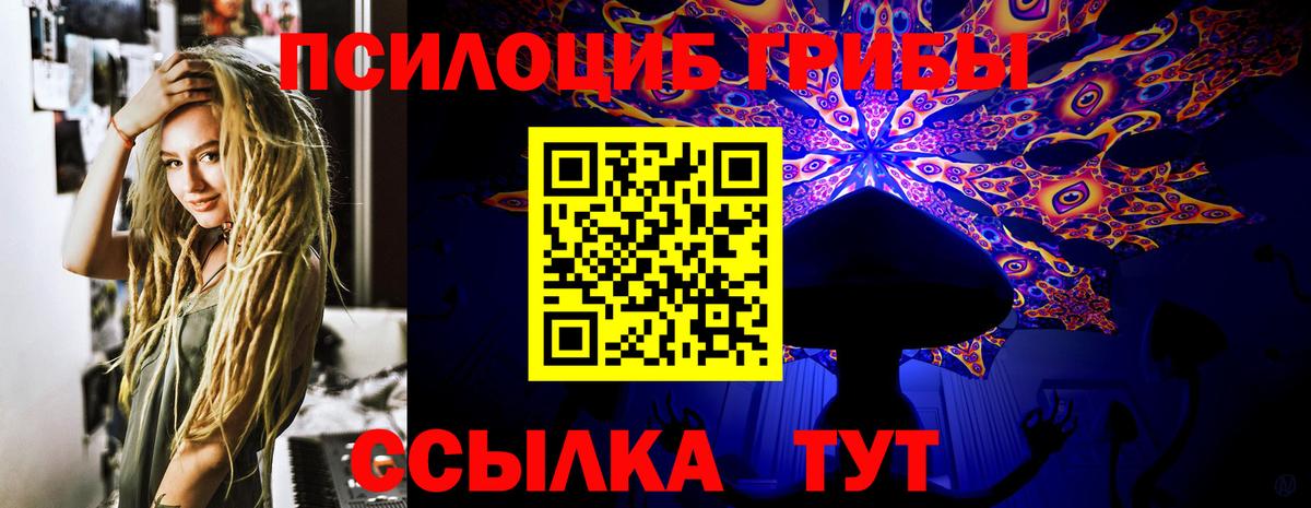 Вятские Поляны  Псилоцибиновые грибы GOLDEN TEACHER  Вход с VPN  Галлюциногенные грибы Psilocybe 