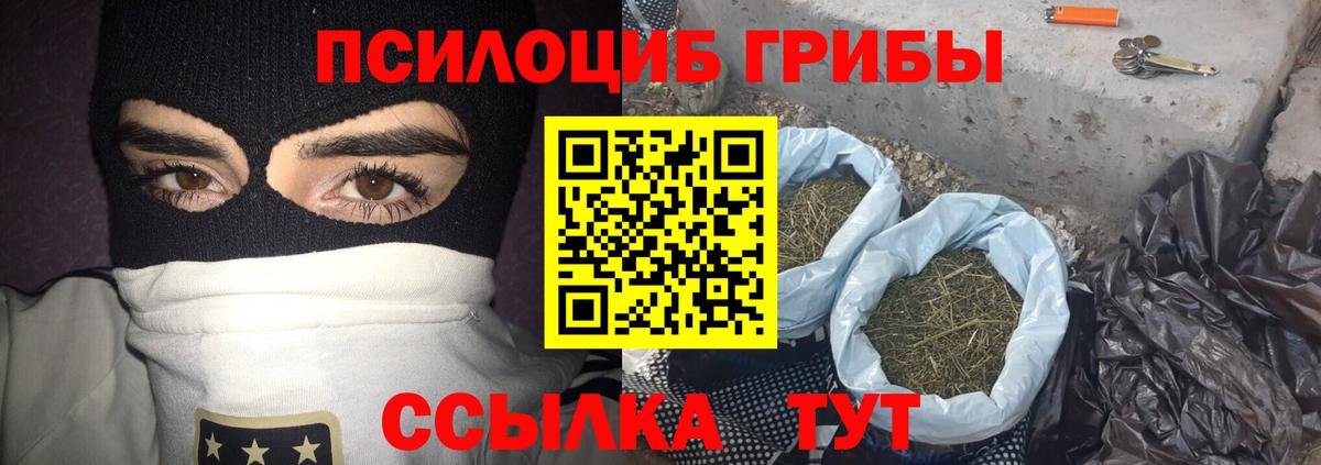 Галлюциногенные грибы прущие грибы Вятские Поляны